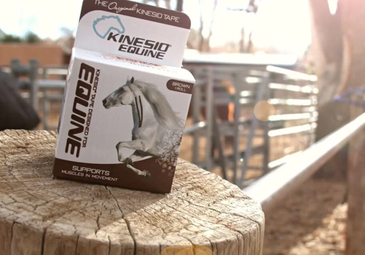 Equine Kinesio hipoalergiczna i wodoodporna taśma dla koni 5 cm x 5 m brązowa